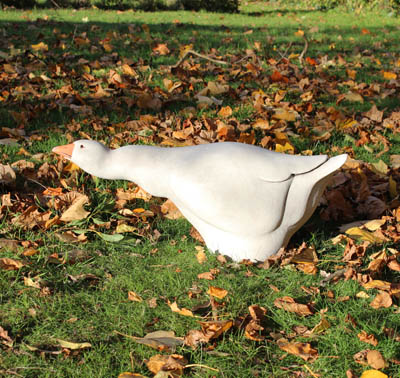 Threatening Goose